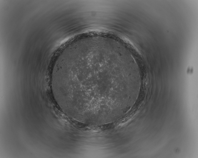 X0000094460822200711151447