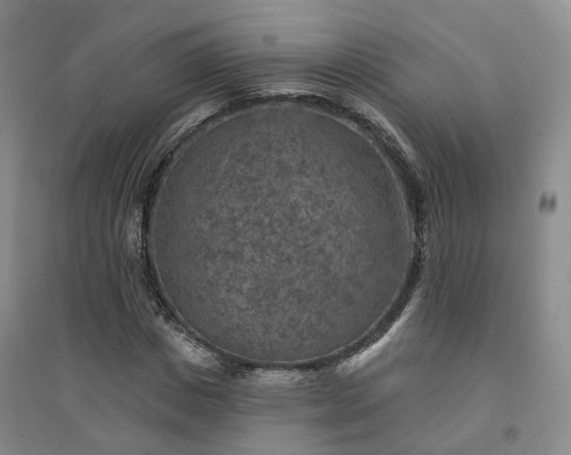 X0000094460825200711151447