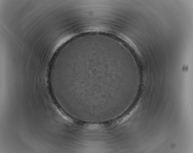 X0000094460826200711151447