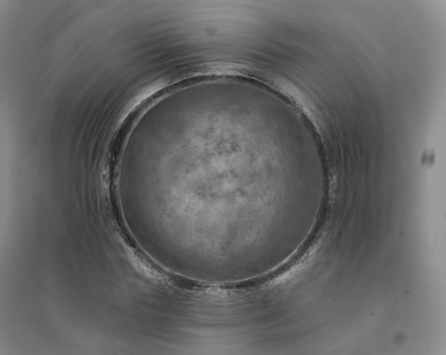 X0000094460827200711151447