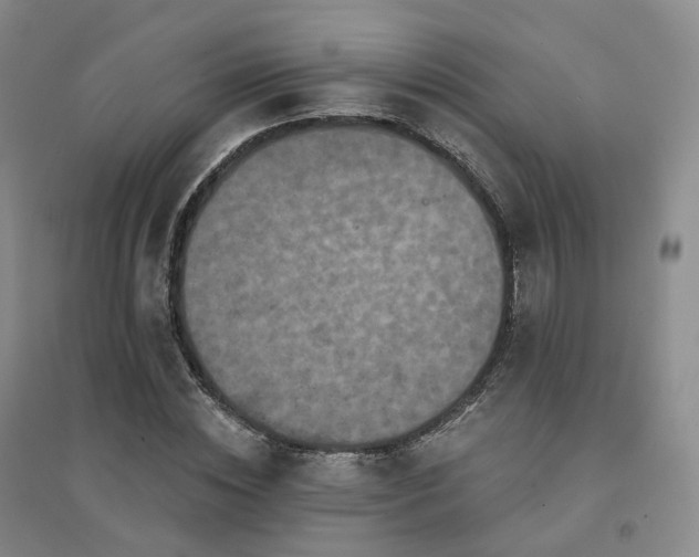 X0000094460828200711151448