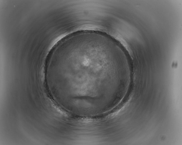 X0000094460829200711151448