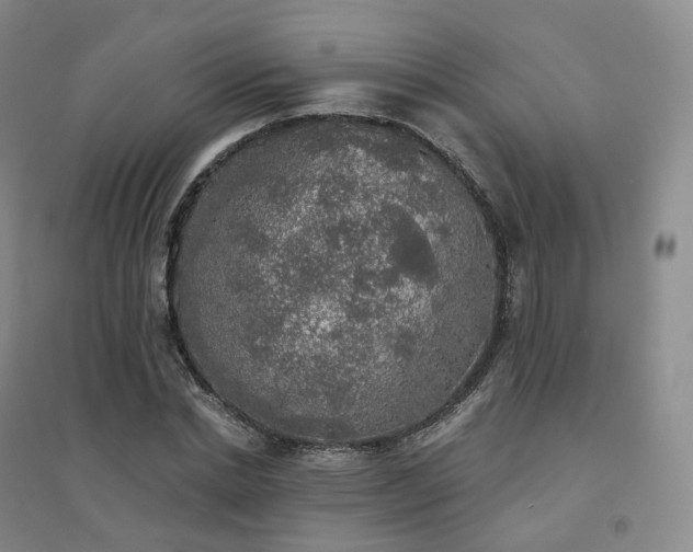 X0000094460830200711151448