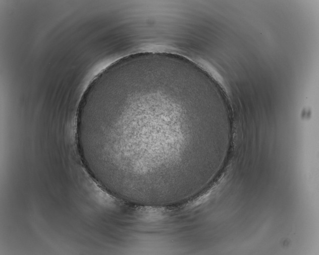 X0000094460831200711151448