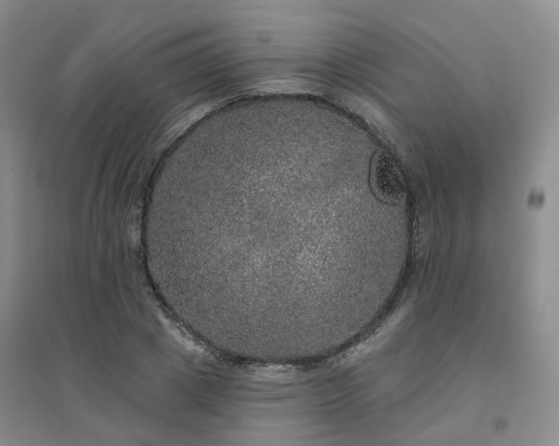 X0000094460833200711151448