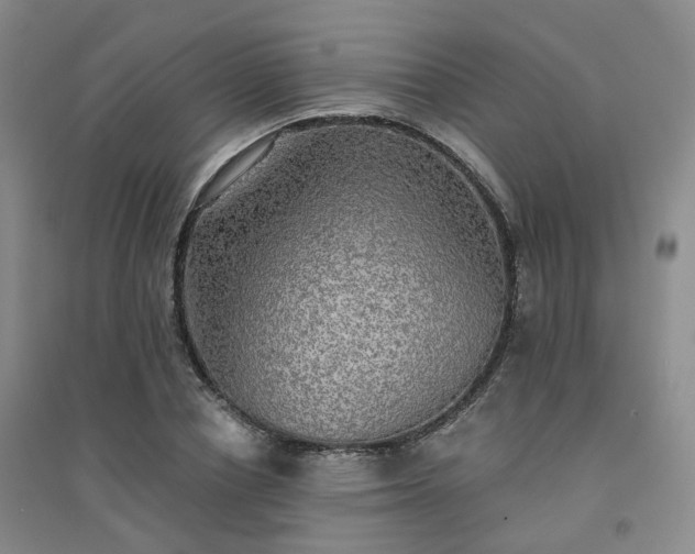 X0000094460834200711151448