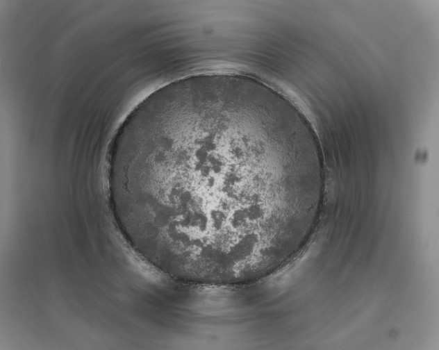 X0000094460835200711151448