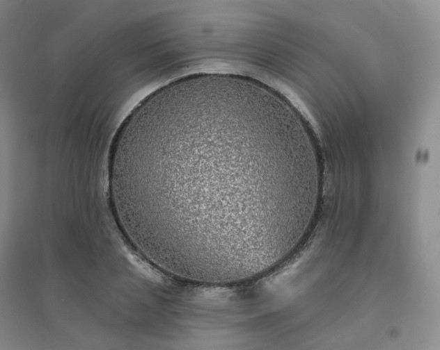 X0000094460837200711151448