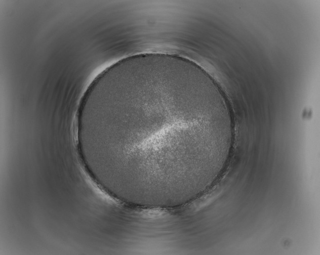 X0000094460838200711151448