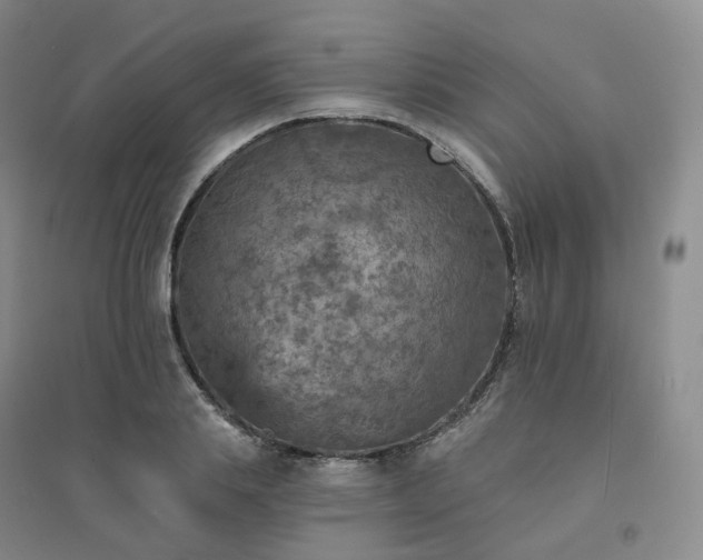 X0000094460839200711151448