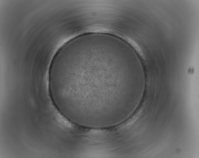 X0000094460840200711151448