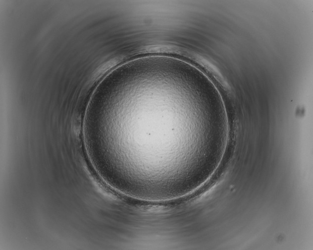 X0000094460841200711151448