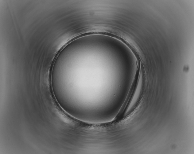 X0000094460842200711151448