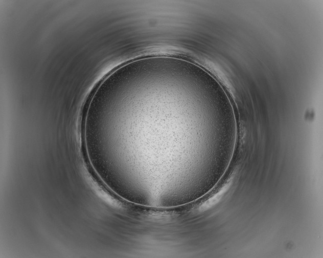 X0000094460843200711151448