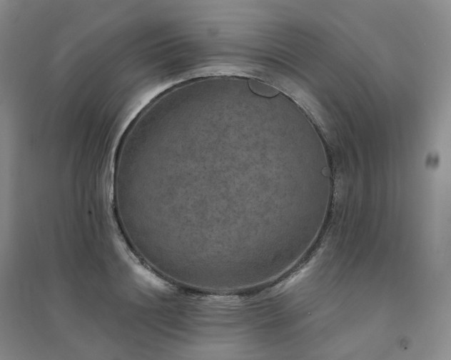 X0000094460844200711151448