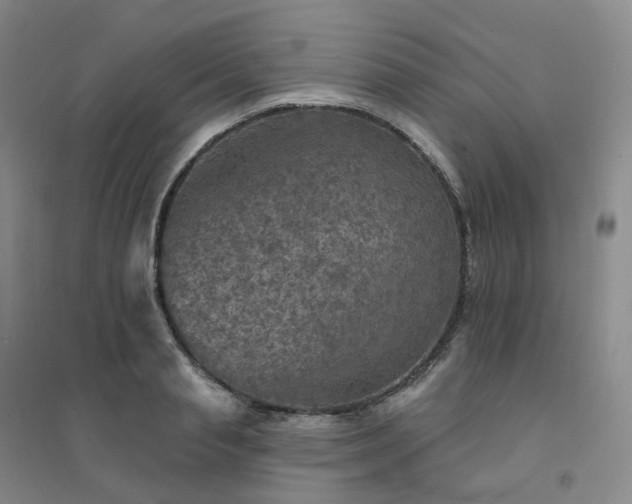 X0000094460845200711151448