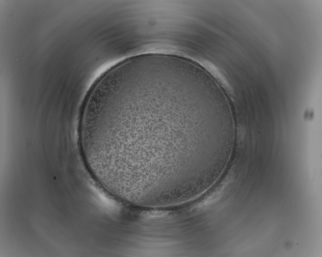 X0000094460846200711151448