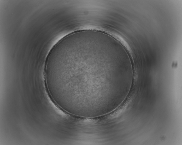 X0000094460847200711151448
