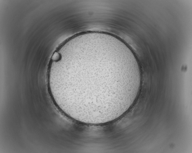 X0000094460848200711151448