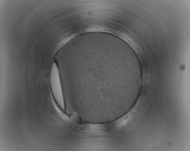 X0000094460849200711151448