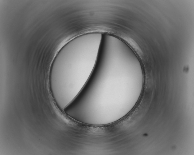 X0000094460850200711151448