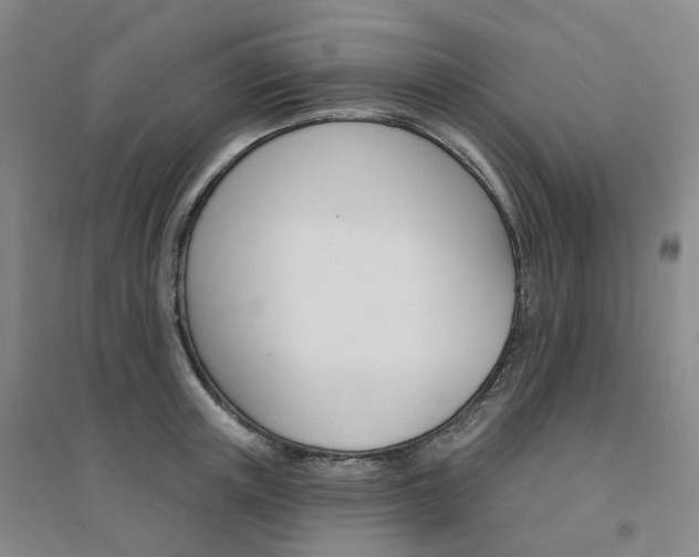 X0000094460851200711151448