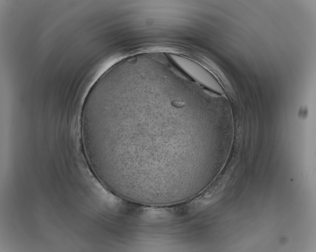 X0000094460852200711151448