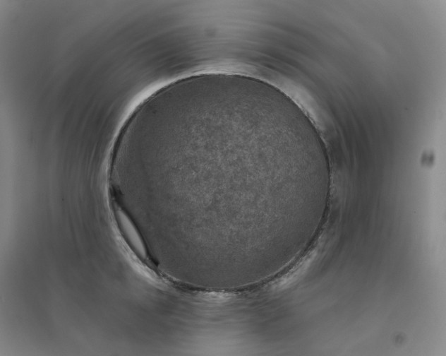 X0000094460854200711151448