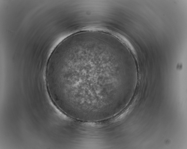 X0000094460855200711151448