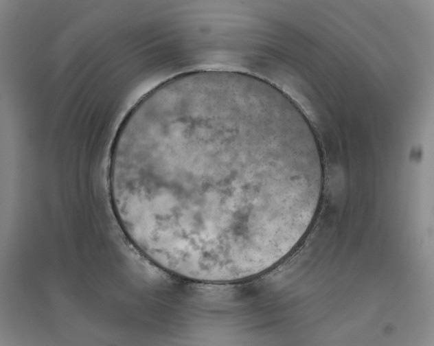 X0000094460856200711151448