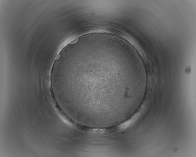 X0000094460858200711151448