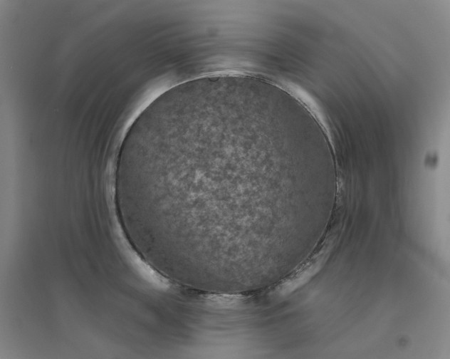 X0000094460859200711151448
