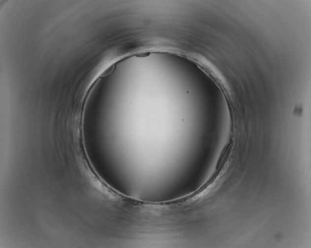 X0000094460860200711151448