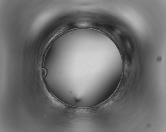 X0000094460861200711151448