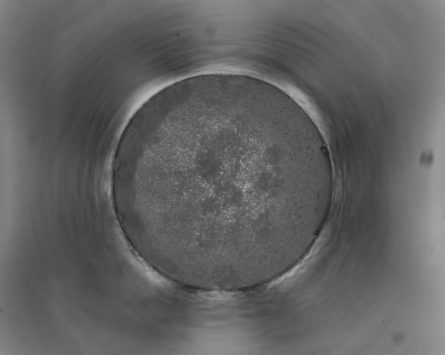 X0000094460862200711151448