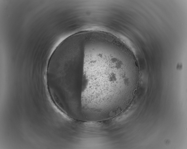 X0000094460863200711151448