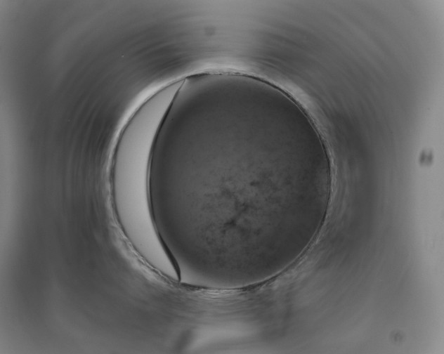 X0000094460864200711151448