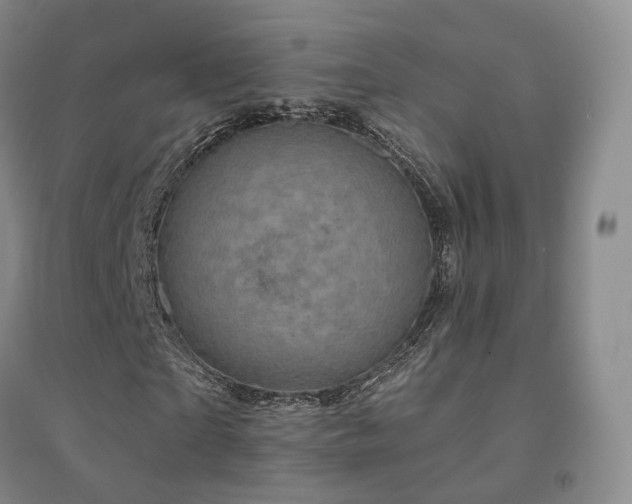 X0000094460865200711151447
