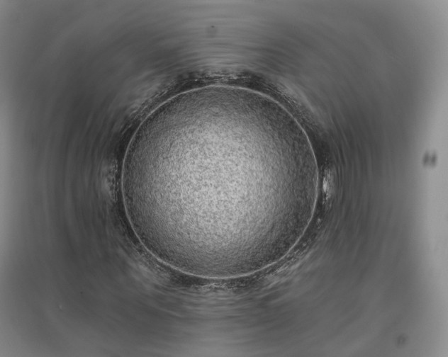 X0000094460867200711151447