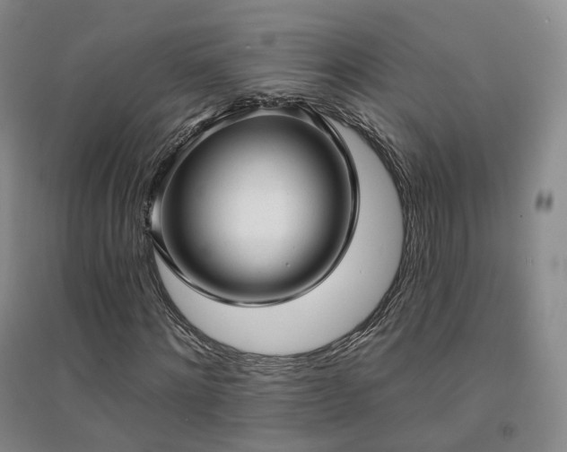 X0000094460868200711151447