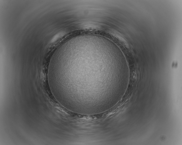 X0000094460869200711151447