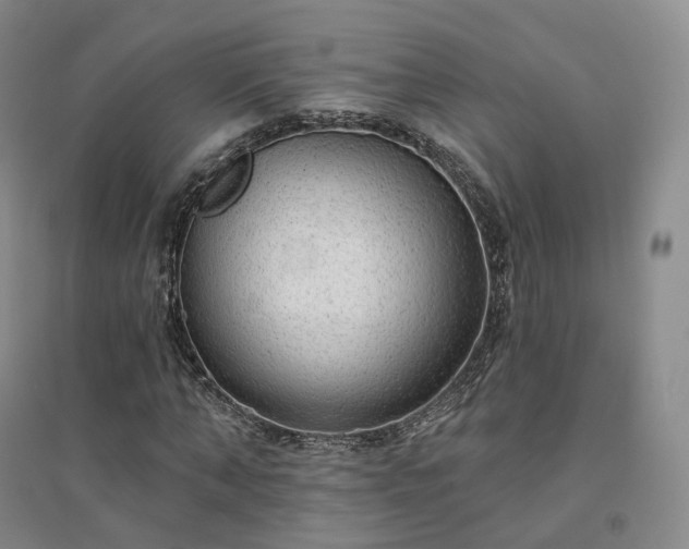 X0000094460870200711151447