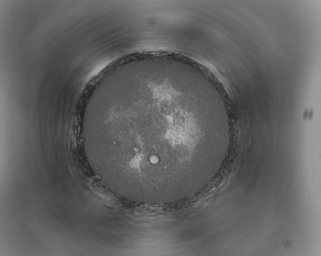 X0000094460871200711151447