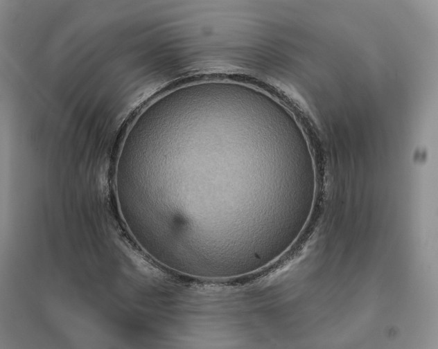 X0000094460873200711151447