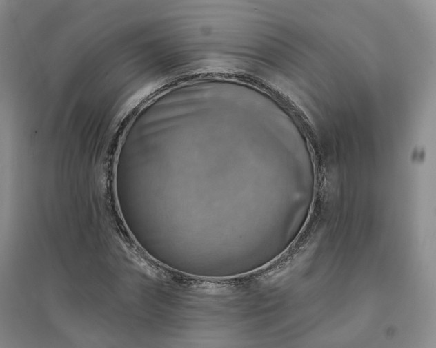 X0000094460874200711151447
