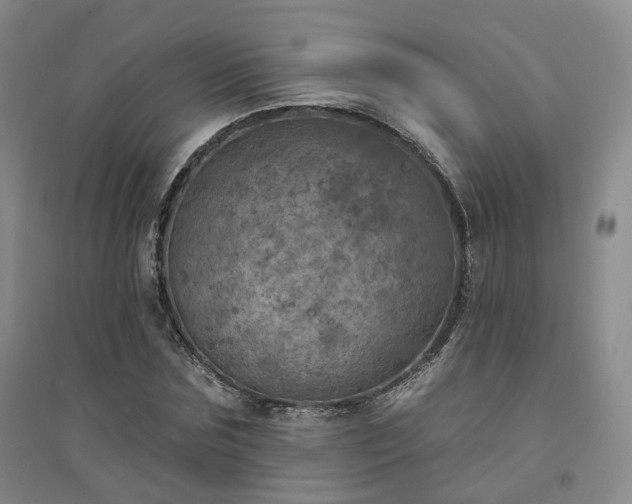X0000094460875200711151447