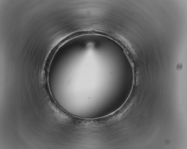 X0000094460876200711151447