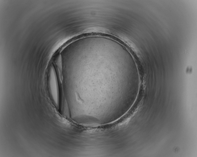X0000094460877200711151447