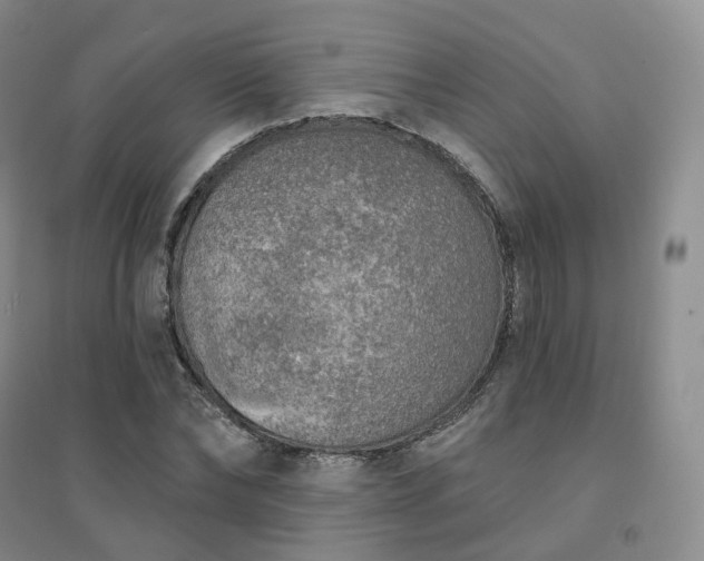 X0000094460878200711151447