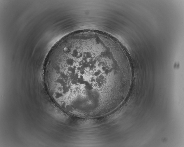 X0000094460879200711151447